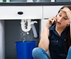 About Water Leak Detection Pros Ovid, MI